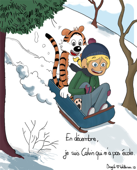 Calvin Hobbes luge Dragib Illustratrice